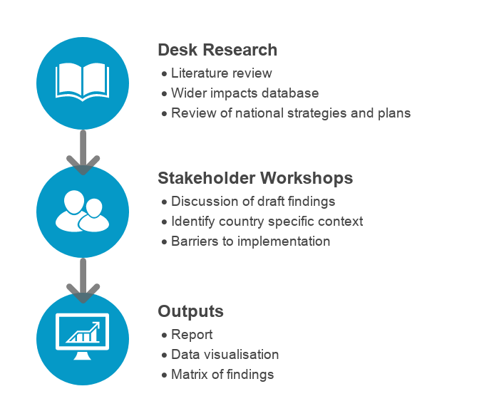 Wider-impacts-process-(2).png